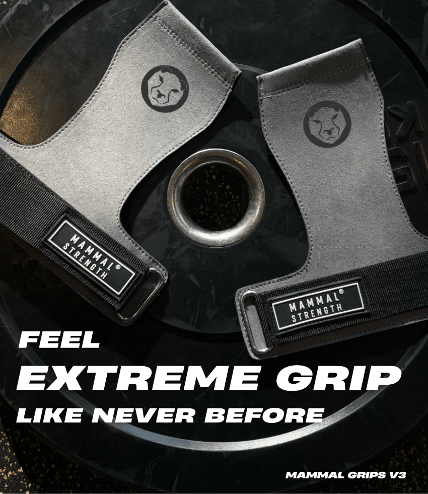Gymnastic Hand Grips V3 + FREE Mammal V2 Wrist Bands - Mammal Strength
