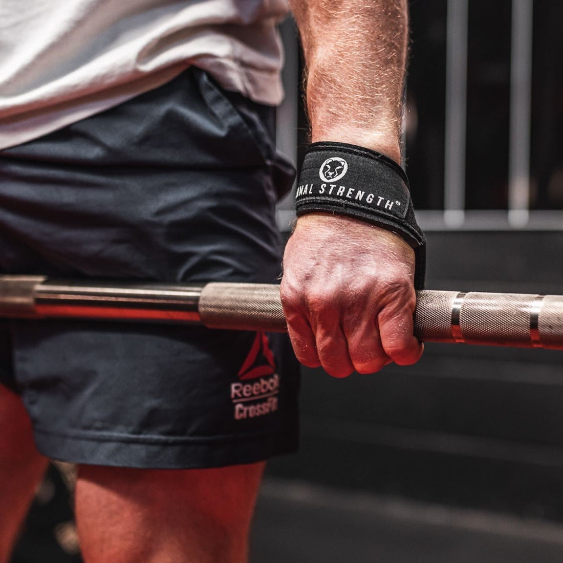 Lifting Straps - Mammal Strength 