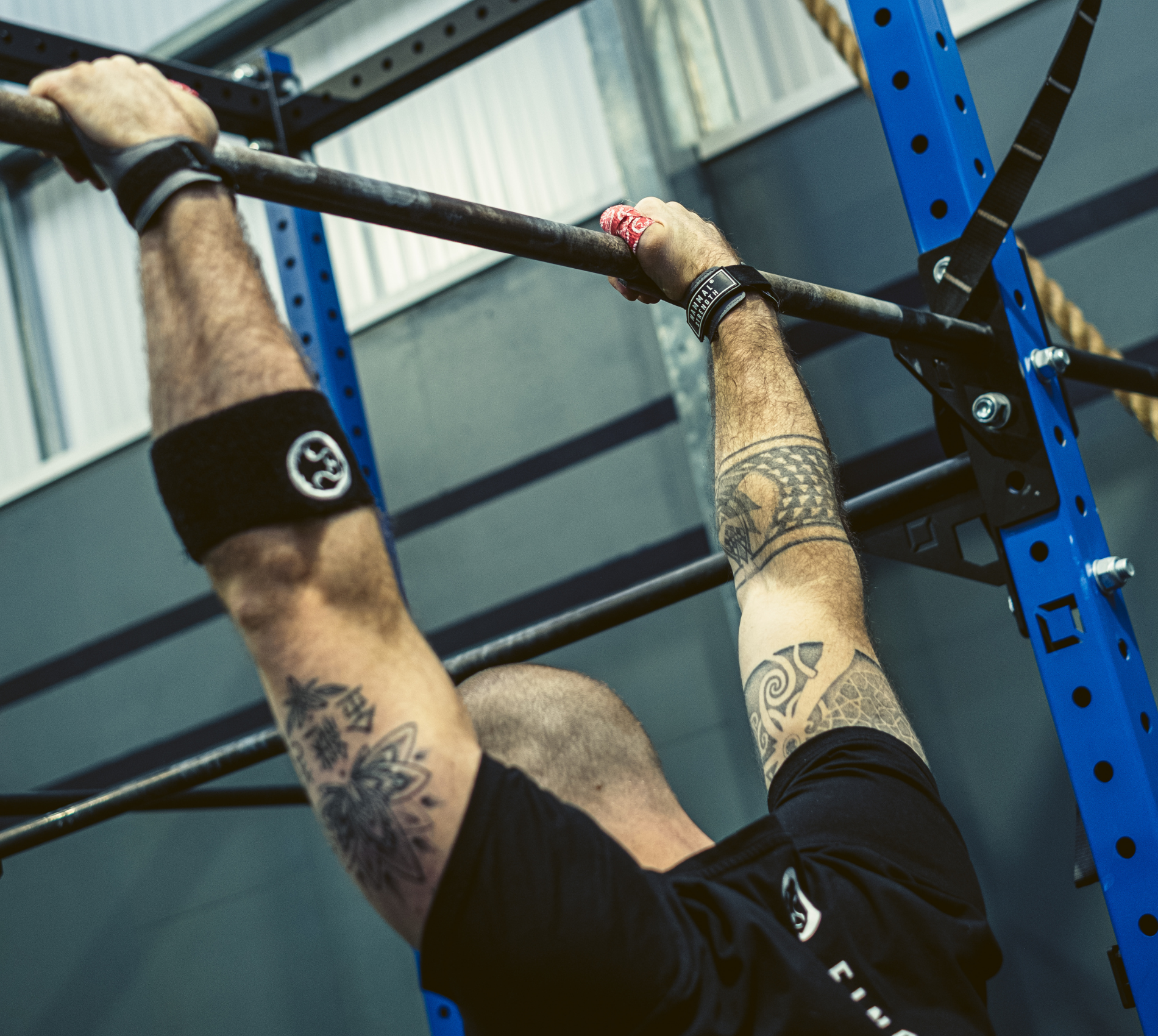 Mammal Strength V3 Gymnastic Hand Grips | Mammal Strength