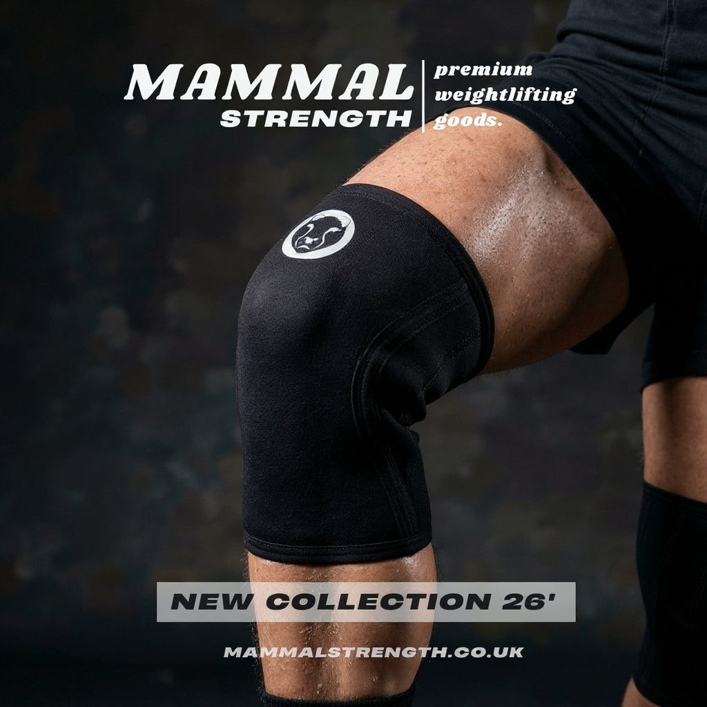 Person wearing a black knee sleeve with 'Mammal Strength' branding on a dark background.