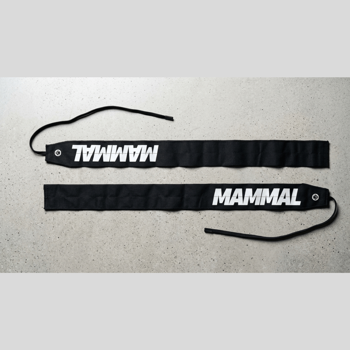 Mammal Strength lightweight wrist wraps laid flat showing full length and thumb loops