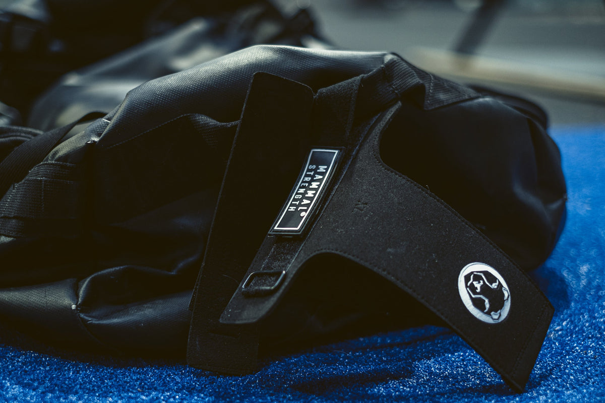 Mammal Grips (THIN) - Gymnastic Hand Grips - Mammal Strength 