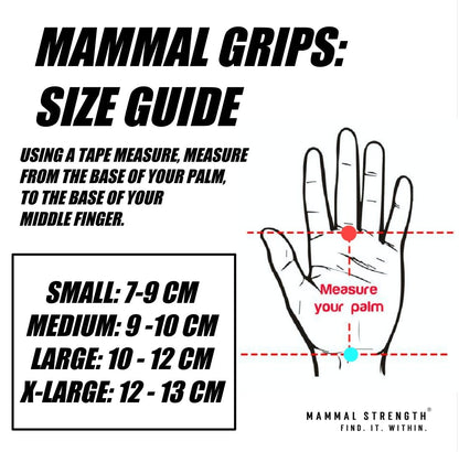 V2 Isoprene gymnastic hand grips for CrossFit gymnastics and pull-ups – Mammal Strength