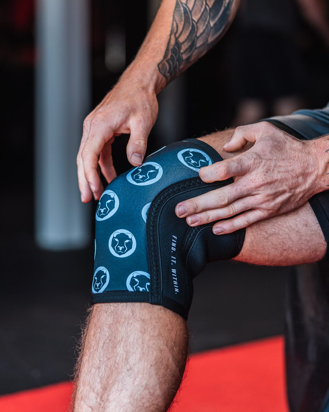 Mammal Strength Knee Sleeves V2 &
