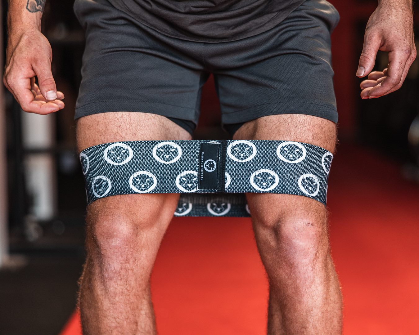 Mammal Strength Muscle Activation Bands - 3 Piece Resistance Band Set - Mammal Strength